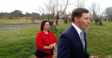 Liberal pledges on West Basin, North Curtin Horse Paddock ignite election