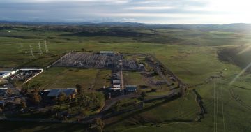 'It makes sense': Farming family backs $110 million Yass Solar Farm