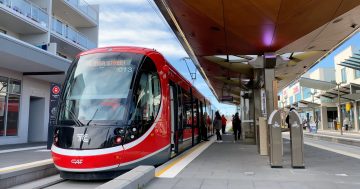 Light rail shutdown to force Gungahlin passengers on to buses