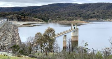 Dam good top-up for Canberra's catchments