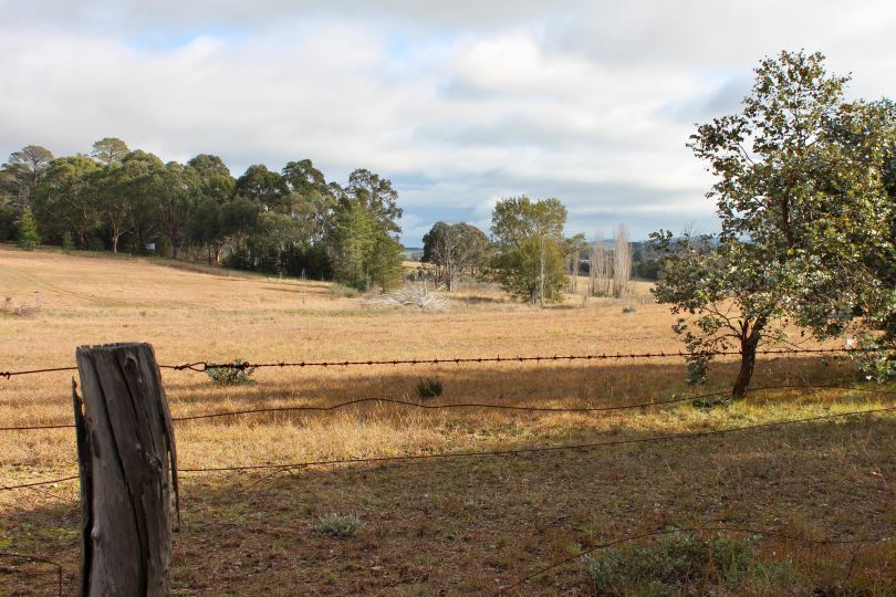 View of the Lawson North site