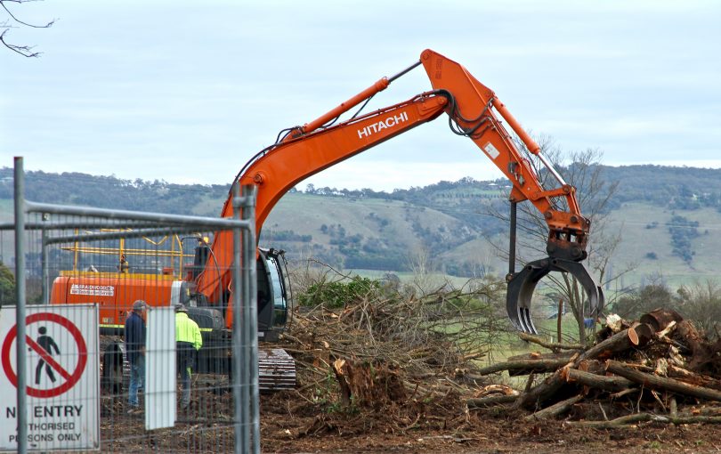 Heavy machinery clearing elm trees at Bungendore.