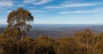 Spring pest control program closes parts of Territory's nature reserves