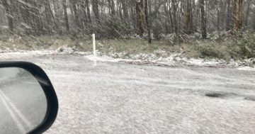 Christmas in ... August? Snow and sleet powders Canberra