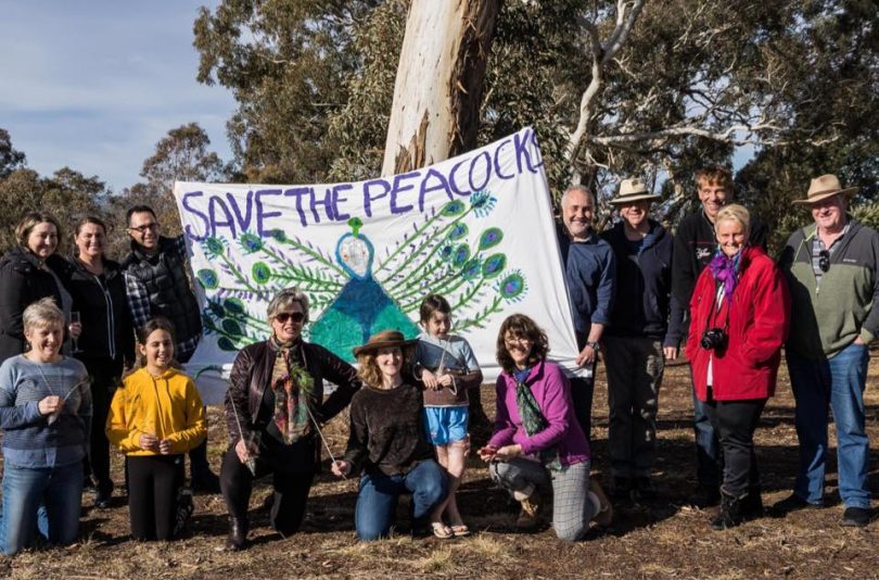 Members of the Save the Narrabundah Peafowl group