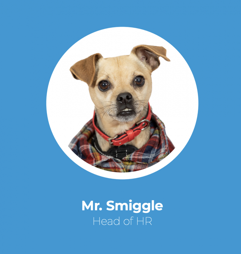 Mr Smiggle