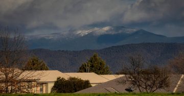 Canberra rugs up as cold blast brings the year's best chance of snow