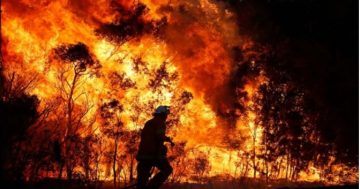 Fire danger period starts early on NSW South Coast