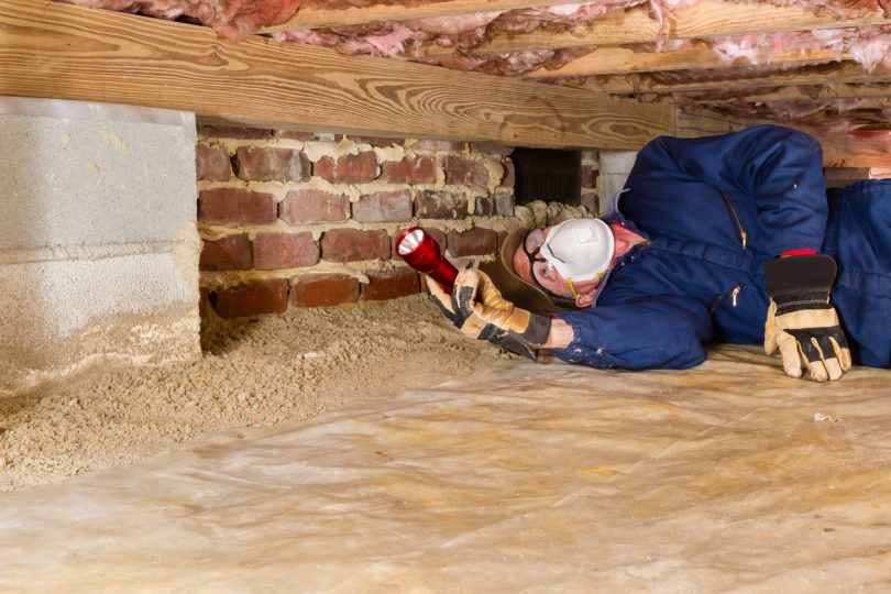 pest inspection companies canberra