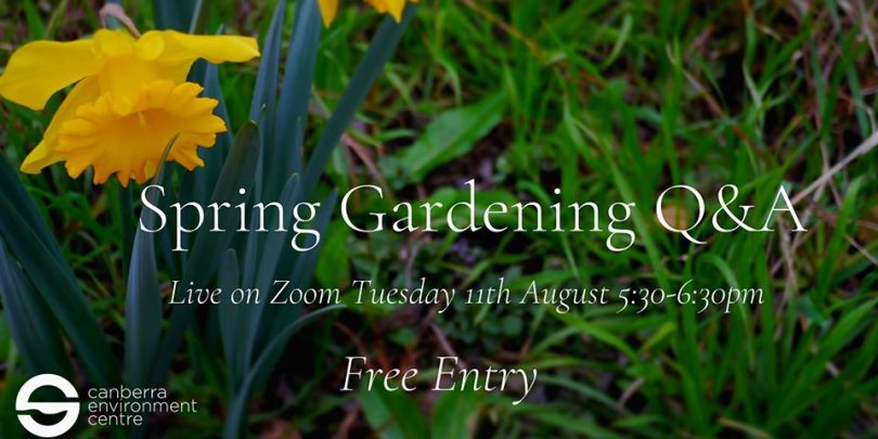 The Spring Gardening Q & A 