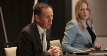 Greens propose community cabinet to guide ACT out of crisis