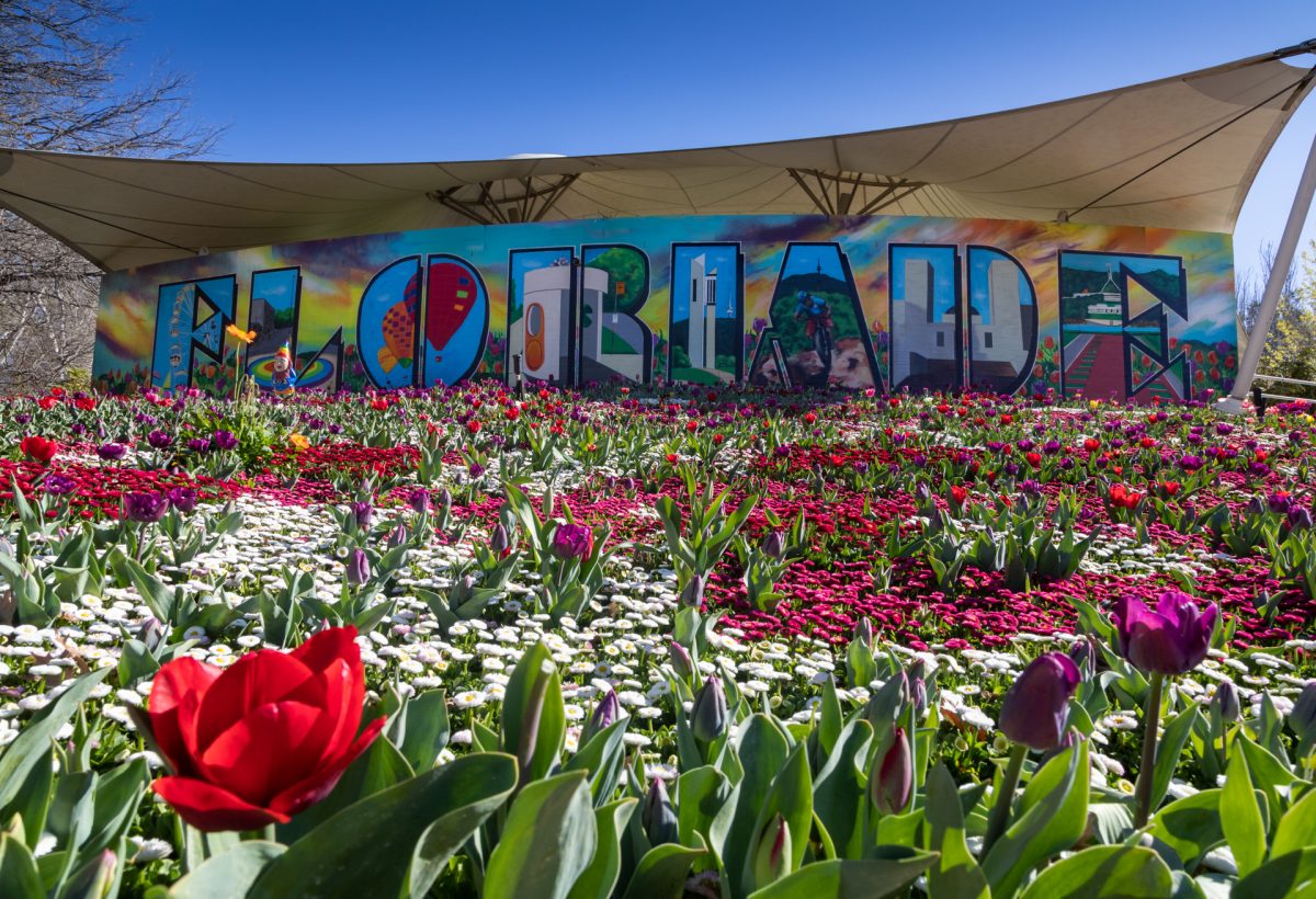 Floriade Reimagined, Spring, flowers, tulips Photo: Michelle Kroll Region Media