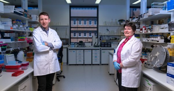 ANU researchers find undetected COVID-19 cases with new blood test