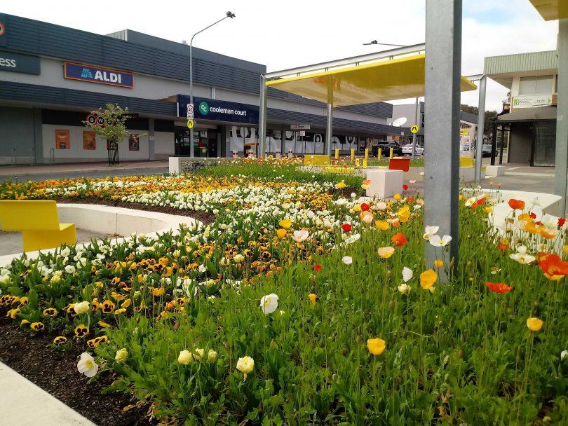 Trenerry Square near Cooleman Court in Weston