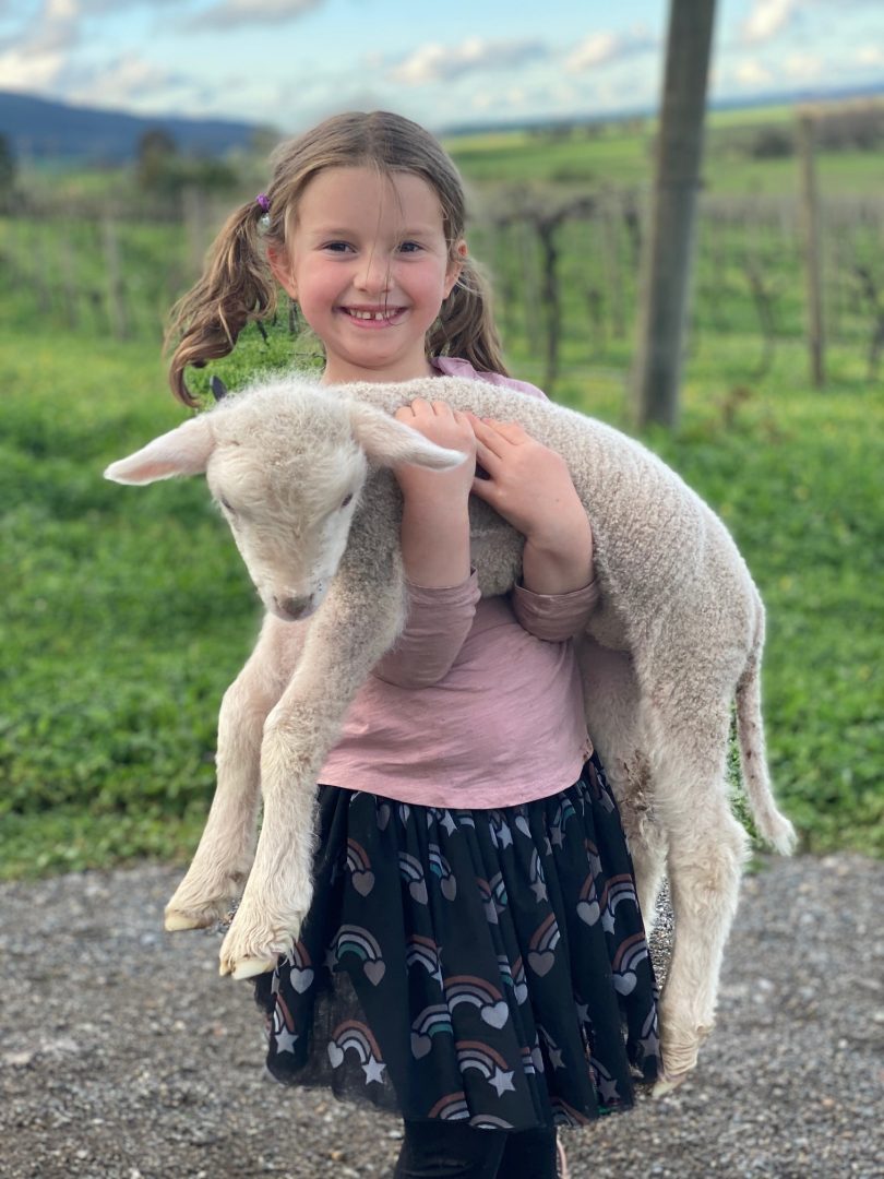 Eloise McDougall holding lamb at Lake George Winery.