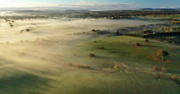 100 rural blocks in Murrumbateman to feed lifestyle rush