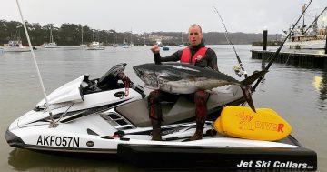 Close encounter with great white shark sparks word of warning