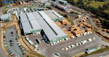 Tumba timber mill's future hangs in balance