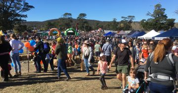 'Will be sorely missed': Collector Village Pumpkin Festival shut down by COVID-19 pandemic