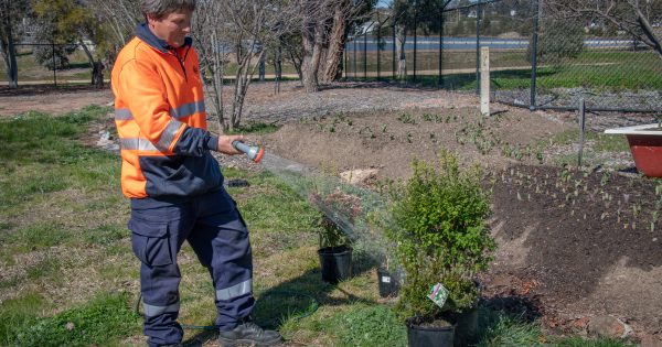 Tips to help your garden flourish this spring
