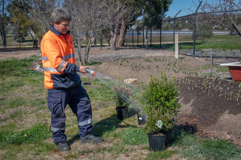 Andrew Forster watering plant outdoors.