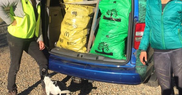 Jindabyne woman collects 760kg of rubbish along roads since April