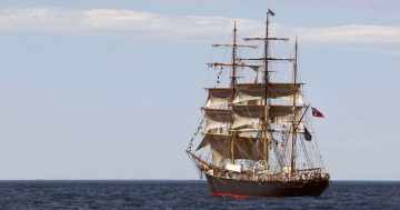 Burnt timber used to support Australia’s heritage fleet