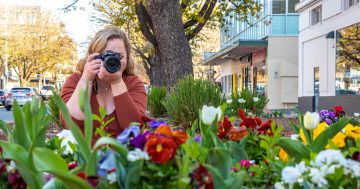 Icon Water Photo Comp celebrates Floriade Reimagined