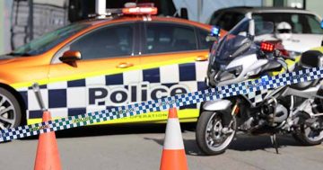 Police investigating fatal car accident at Macquarie