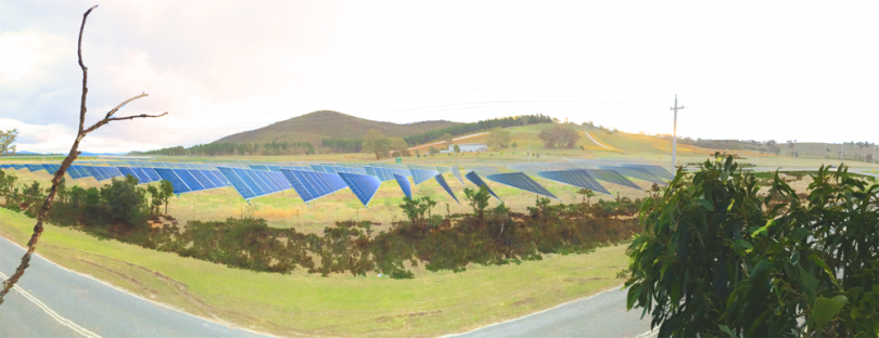 Artist's impression of the SolarShare farm at Majura.