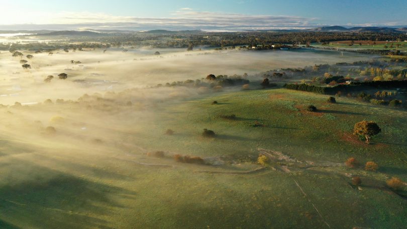 The Fields of Murrumbateman