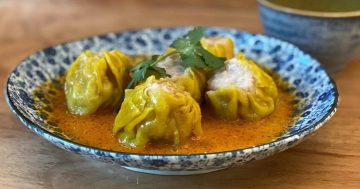 Hot in the city: Dumpling Social's an addictive addition to Bradley St in Woden