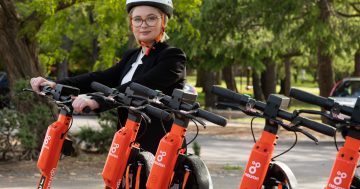 Probing the polls: public holidays and the end of the great Canberra scooter experiment?