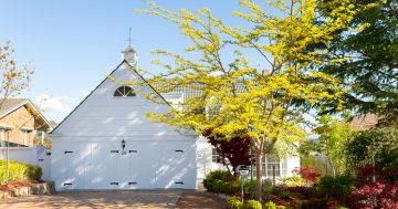 Hamptons harmony and panoramic views in leafy Evatt
