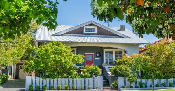 Exquisitely renovated, perfectly updated Californian bungalow in Queanbeyan