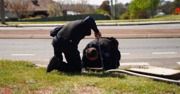 Police, SES conduct ground search in Duffy for evidence in Weston skatepark stabbing