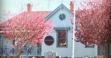 Award-winning former Zanzibar team flex their mussels at Banksia Restaurant in Pambula