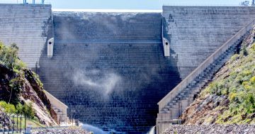 Dam good news: Cotter to spill and water storage to hit capacity by Christmas