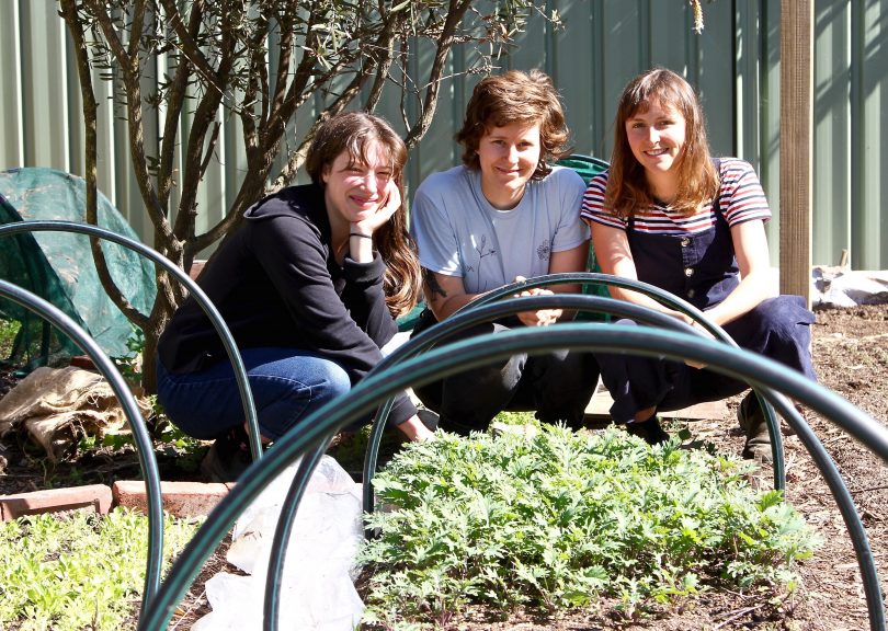 Suburban farmers Bea Kelly-Loane, Karina Vennonen and Lil Costello in garden.