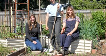 Hunger for real food fuels inner north community farmers