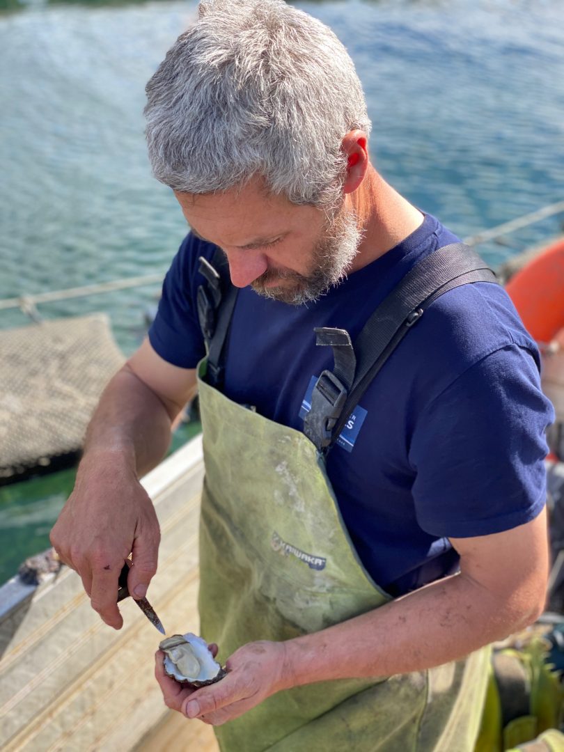 Greg Carton, Broadwater Oysters