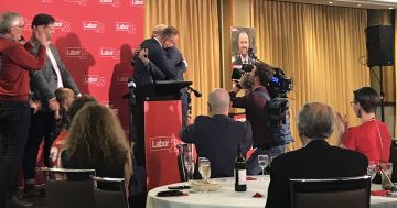 UPDATED Election 2020: Labor back for sixth term but Green surge surprises