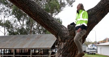 Christine sees trees as a way for women to branch out