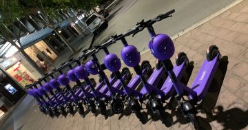 Government needs to recharge e-scooter rules as careless behaviour drains community goodwill