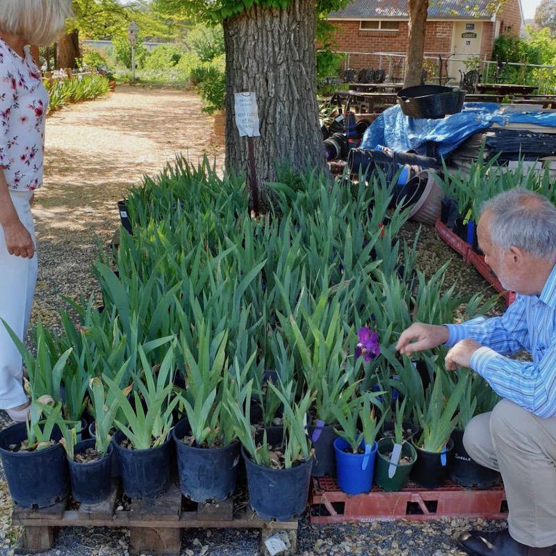 Volunteers tending to plants for sale at Riversdale.