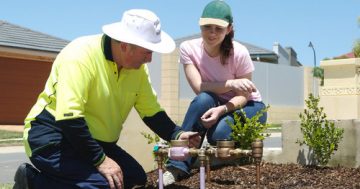 Purple pipe network given the flow-ahead for recycled water to Googong