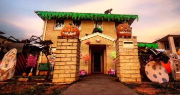 Hallo-ween, come on in to the nightmare on Flemington Rd