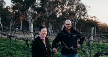 Murrumbateman's Yarrh Wines turns year around with new cellar door experience