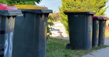 Here's what the government learnt about Canberrans by looking through our bins