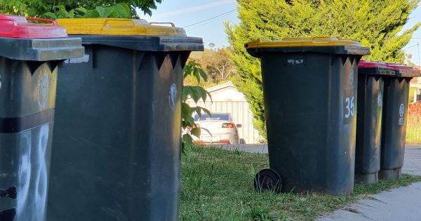 When to put out your bins and more: your practical guide to Christmas Day